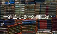 一歲金毛吃什么狗糧好？一歲金毛吃什么