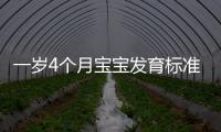 一歲4個(gè)月寶寶發(fā)育標(biāo)準(zhǔn)有哪些,如何促進(jìn)寶寶身體和智力發(fā)展
