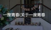 一度青春(關于一度青春簡述)