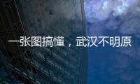 一張圖搞懂，武漢不明原因肺炎咋回事？春節(jié)期間要注意啥？