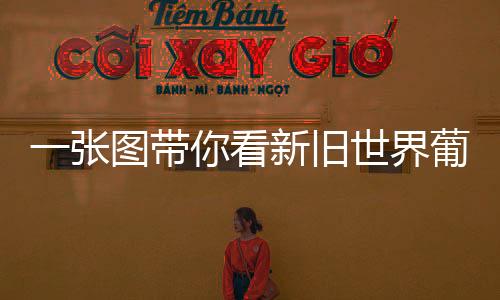一張圖帶你看新舊世界葡萄酒差異