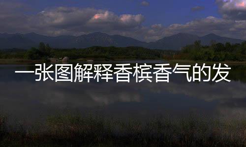 一張圖解釋香檳香氣的發(fā)展規(guī)律