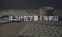 一年之計在于春丨烏蒙山區春耕新景：馬鈴薯基地來了位“科學家”