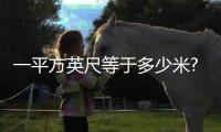 一平方英尺等于多少米?（一平方英尺）