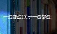 一透都透(關于一透都透簡述)