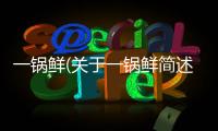一鍋鮮(關(guān)于一鍋鮮簡述)
