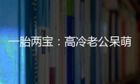 一胎兩寶：高冷老公呆萌妻(關(guān)于一胎兩寶：高冷老公呆萌妻簡(jiǎn)述)