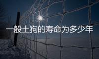 一般土狗的壽命為多少年？ 土狗的壽命一般多長(zhǎng)