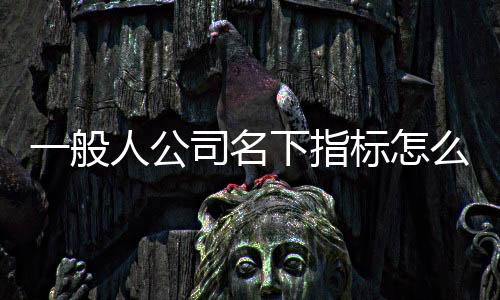 一般人公司名下指標(biāo)怎么變更