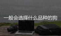 一般會選擇什么品種的狗狗來當搜救犬？ 搜救犬品種介紹