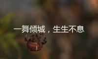 一舞傾城，生生不息