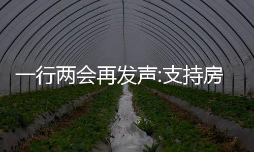 一行兩會再發(fā)聲:支持房地產(chǎn)合理融資需求