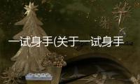 一試身手(關(guān)于一試身手簡述)