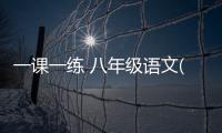 一課一練 八年級語文(關(guān)于一課一練 八年級語文簡述)