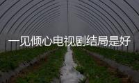 一見傾心電視劇結局是好的嗎（《一見傾心》原著小說結局是什么）