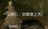 一見傾心：總裁寵上天(關(guān)于一見傾心：總裁寵上天簡述)
