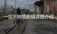一見不鐘情劇情詳細介紹