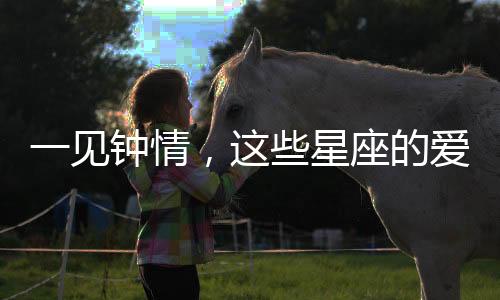 一見鐘情，這些星座的愛情來得太快就像龍卷風