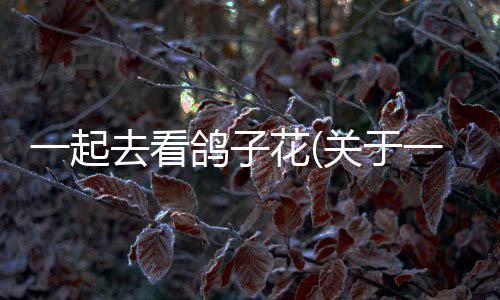 一起去看鴿子花(關(guān)于一起去看鴿子花簡述)