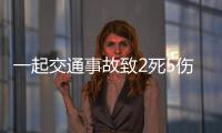 一起交通事故致2死5傷 死者均為中國公民
