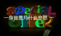 一身皆是月什么意思 一身皆是月什么意思