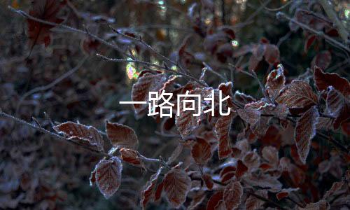 一路向北