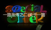 一路漲停之二(關(guān)于一路漲停之二簡(jiǎn)述)