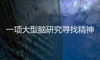 一項大型腦研究尋找精神疾病源頭—新聞—科學網