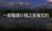 一顆榴蓮價(jià)格之變背后的“一帶一路”機(jī)遇