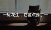 一顆花生，它差點要了一個2歲女孩的命