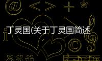 丁靈國(關(guān)于丁靈國簡述)