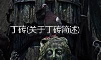 丁磚(關于丁磚簡述)