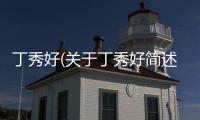 丁秀好(關于丁秀好簡述)