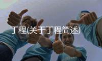 丁程(關于丁程簡述)