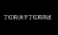 丁紅莉(關于丁紅莉簡述)