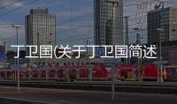 丁衛(wèi)國(關(guān)于丁衛(wèi)國簡述)