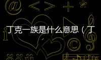 丁克一族是什么意思（丁克一族是什么意思）