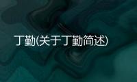 丁勤(關(guān)于丁勤簡述)
