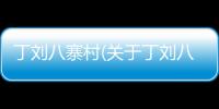 丁劉八寨村(關于丁劉八寨村簡述)