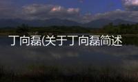 丁向磊(關于丁向磊簡述)