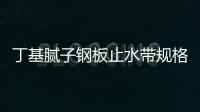 丁基膩子鋼板止水帶規(guī)格尺寸