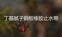 丁基膩子鋼板橡膠止水帶價格便宜