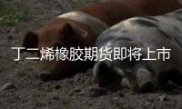 丁二烯橡膠期貨即將上市，現貨市場“不溫不火”