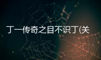 丁一傳奇之目不識丁(關于丁一傳奇之目不識丁簡述)