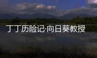 丁丁歷險記·向日葵教授綁架案(關于丁丁歷險記·向日葵教授綁架案簡述)