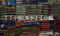 丁丁小姐(關(guān)于丁丁小姐簡(jiǎn)述)