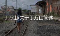 丁萬(wàn)山(關(guān)于丁萬(wàn)山簡(jiǎn)述)