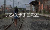 丁乙(關于丁乙簡述)