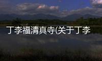 丁李福清真寺(關于丁李福清真寺簡述)
