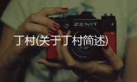 丁村(關于丁村簡述)